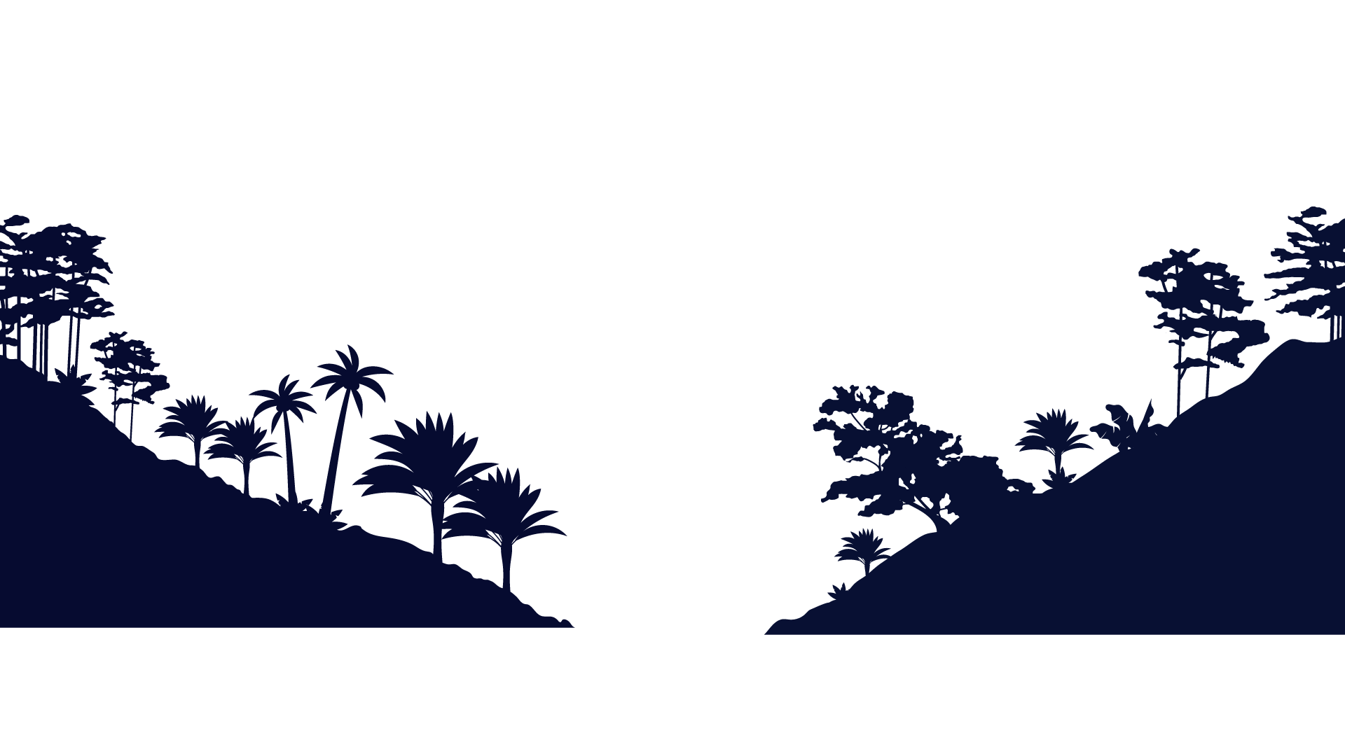 Bushes
